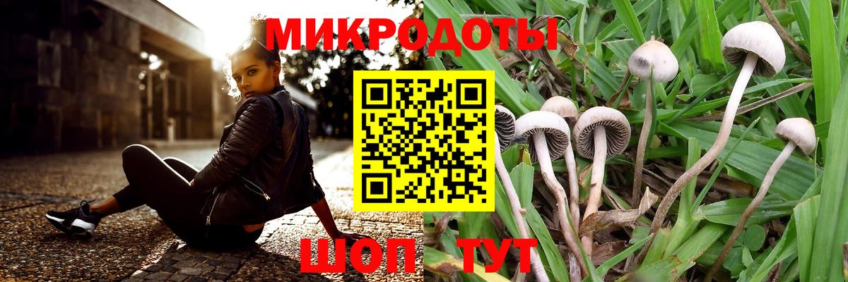 Псилоцибиновые грибы прущие грибы  Вход с VPN  Славгород 